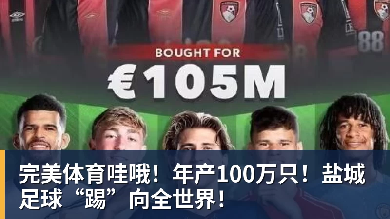 完美体育哇哦！年产100万只！盐城足球“踢”向全世界！