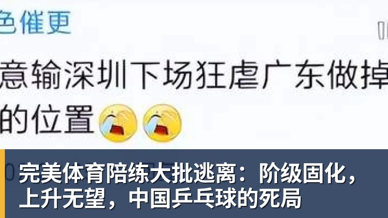 完美体育陪练大批逃离：阶级固化，上升无望，中国乒乓球的死局